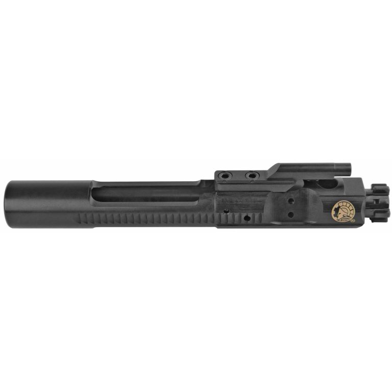 RPVBAD-BCG-M16-1